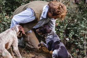 Truffle hunting