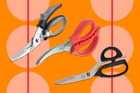 Best Kitchen Shears 