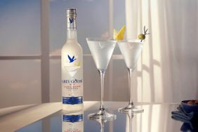 Grey Goose Classic Martini Cocktail