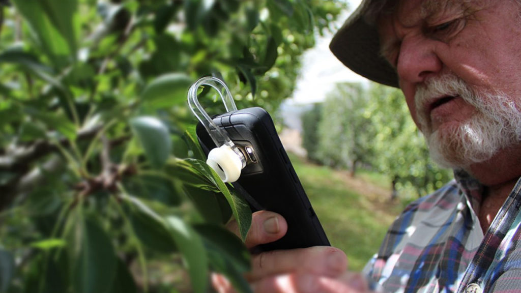 Photo of a farmer using GoMicro’s solution.