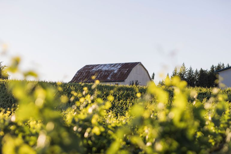 A farmhouse on the Okta farm