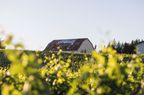 A farmhouse on the Okta farm