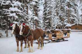 Lone Mountain Ranch