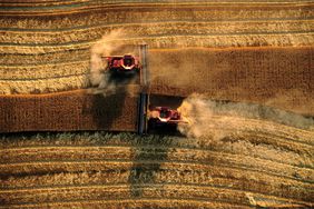 "Wheat Harvest Ballet," 2006