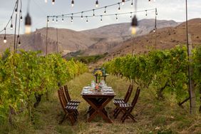 Just 90 minutes south of Yerevan, Armeniaâs capital, lies the Areni wine region, where visi- tors can book im- mersive food and wine experiences.